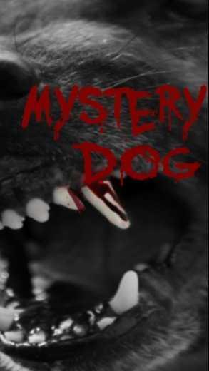 Mystery Dog — series backdrop